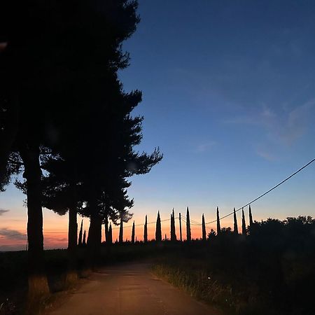 Agriturismo Campolungo Sant'Ermo エクステリア 写真